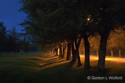 Tree-Lined Lane In First Light_20758-61.jpg - Photographed near Smiths Falls, Ontario, Canada.